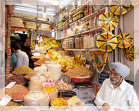 due splendide settimane in india